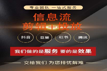 实战经验分享：SEO与SEM优化案例精选